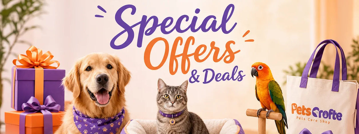 Special Offers & Deals