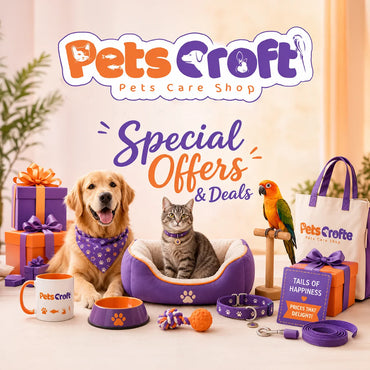 Special Offers & Deals