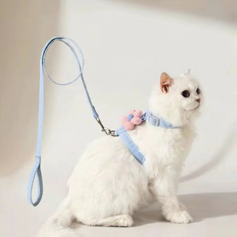 White cat wearing a blue harness with a pink flower attachment, sitting on a light background.