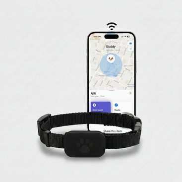Cat wearing a black pet collar with a smartphone displaying a pet tracking app.
