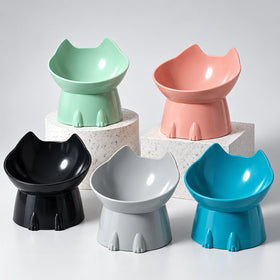 Elevated Cat Bowl with Tilted Edge