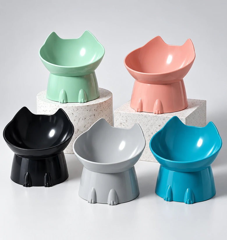 Elevated Cat Bowl with Tilted Edge