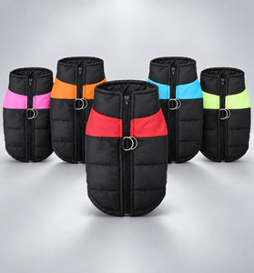 Waterproof Padded Dog & Cat Winter Jacket