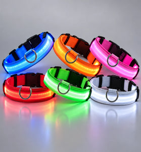 LED Light-Up Dog Collar for Night Walks