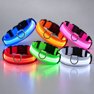 LED Light-Up Dog Collar for Night Walks