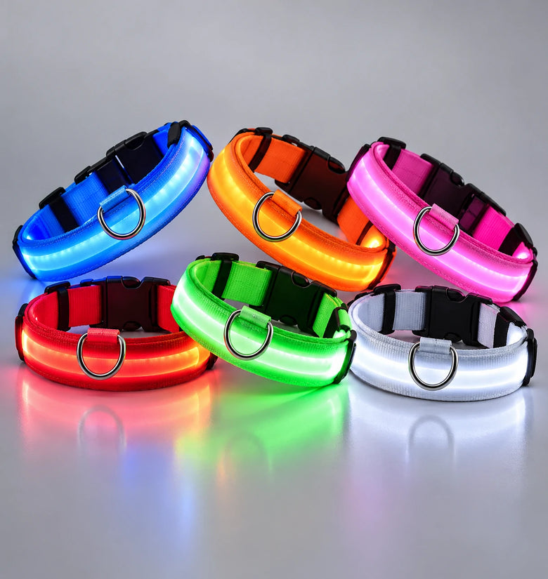 LED Light-Up Dog Collar for Night Walks