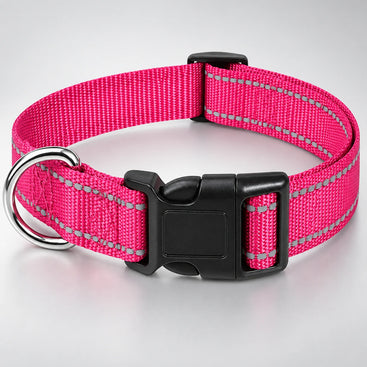 Adjustable Nylon Dog Collar with Quick-Release Buckle