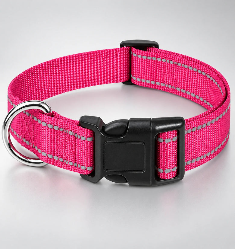Adjustable Nylon Dog Collar with Quick-Release Buckle