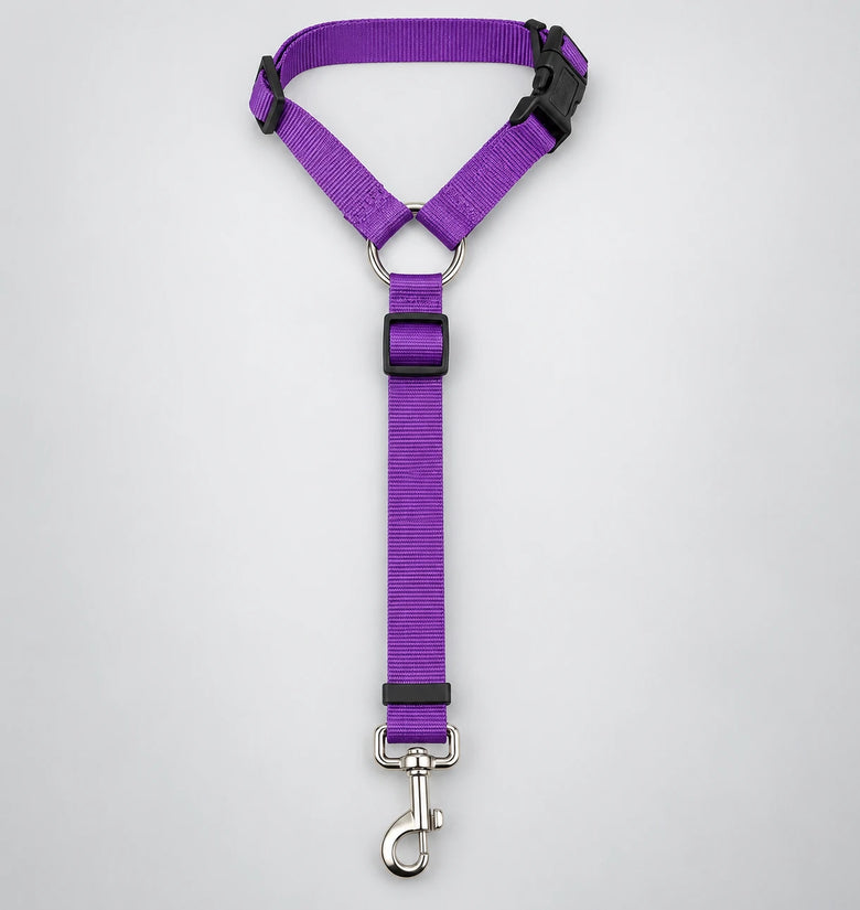 Adjustable 2-in-1 Pet Car Restraint Lead
