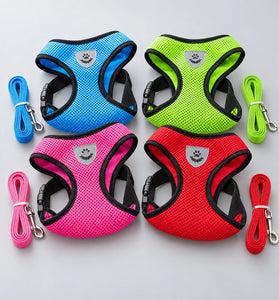 Adjustable Mesh Pet Harness & Lead Set