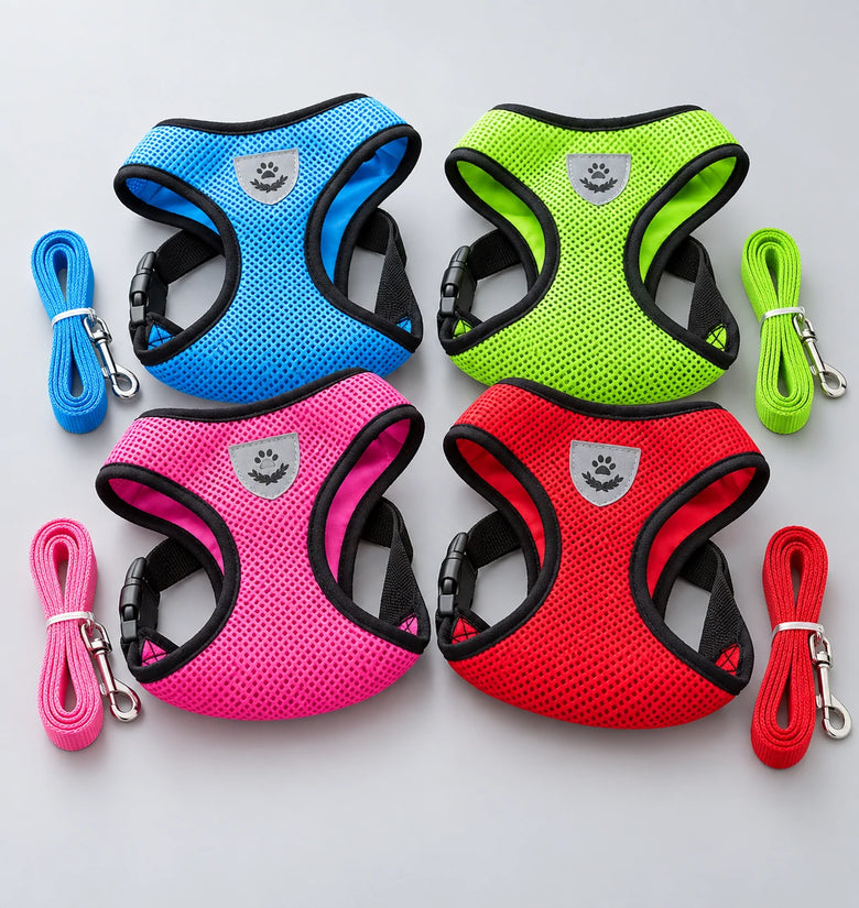 Adjustable Mesh Pet Harness & Lead Set