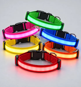 USB Rechargeable LED Dog Collar – 3 Light Modes