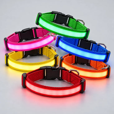 USB Rechargeable LED Dog Collar – 3 Light Modes