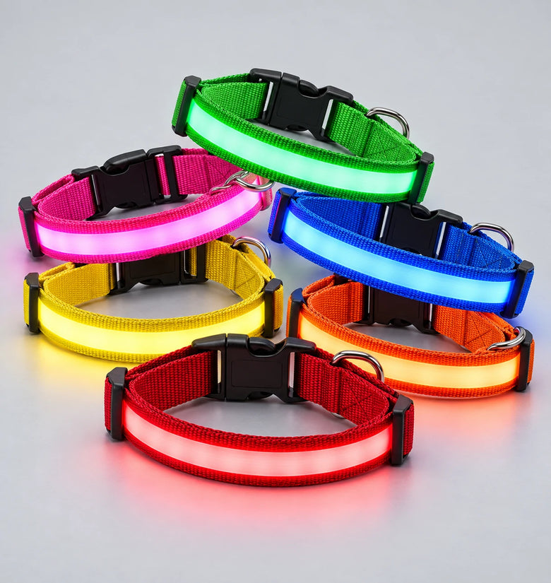 USB Rechargeable LED Dog Collar – 3 Light Modes