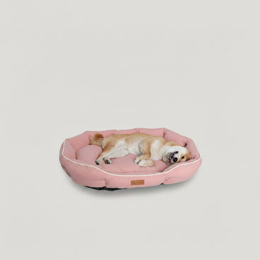 A small tan and white dog lies sleeping on a round pink pet bed with white piping, photographed against a plain light gray background.
