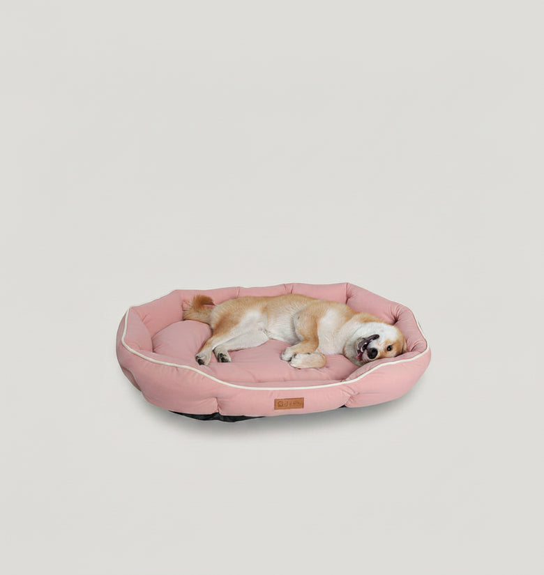 A small tan and white dog lies sleeping on a round pink pet bed with white piping, photographed against a plain light gray background.