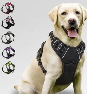 Dog wearing a black harness with color options displayed below on a white background