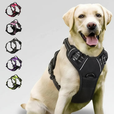 Dog wearing a black harness with color options displayed below on a white background