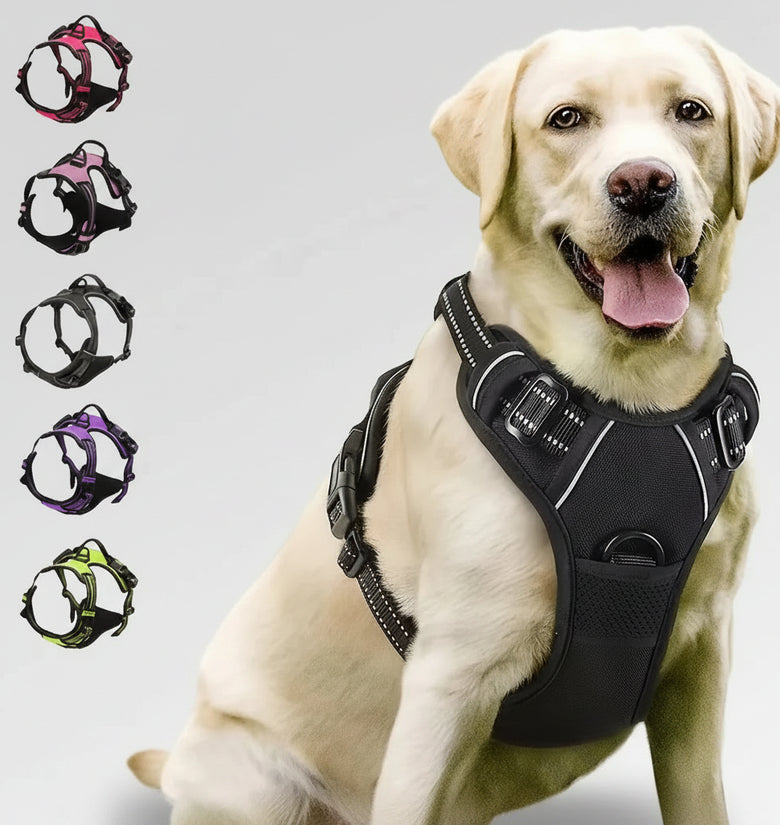 Dog wearing a black harness with color options displayed below on a white background