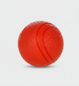 White puppy playing with a red ball on a white background