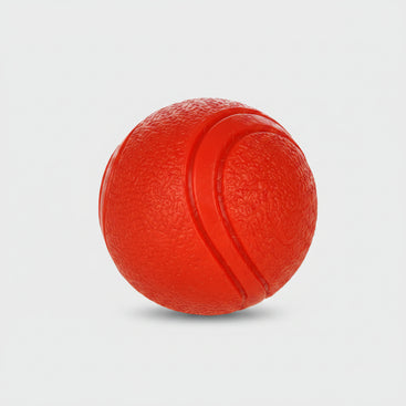 White puppy playing with a red ball on a white background