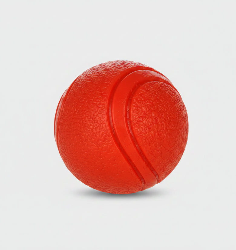 White puppy playing with a red ball on a white background
