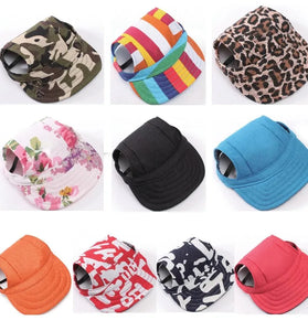 Small Dog Summer Baseball Cap
