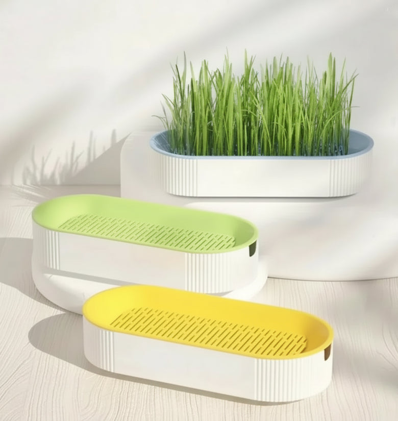 Three oval planter boxes with ribbed white sides and perforated tops in yellow, green, and blue, arranged on white pedestals with green grass growing in the back planter against a softly lit white background.