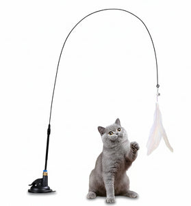 Cat playing with a fishing rod toy on a white background