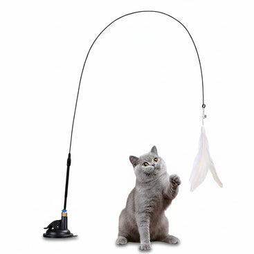 Cat playing with a fishing rod toy on a white background
