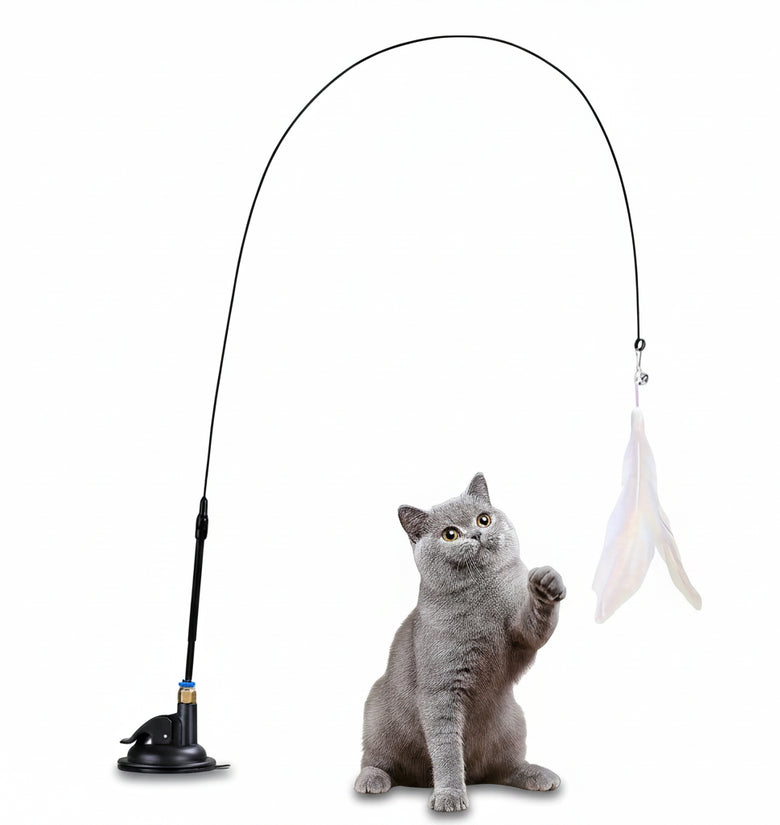 Cat playing with a fishing rod toy on a white background