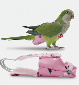 Green parrot on a pink bird leash with floral pattern on a white background