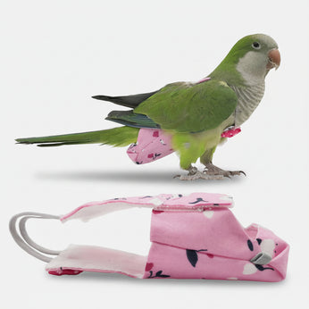 Green parrot on a pink bird leash with floral pattern on a white background