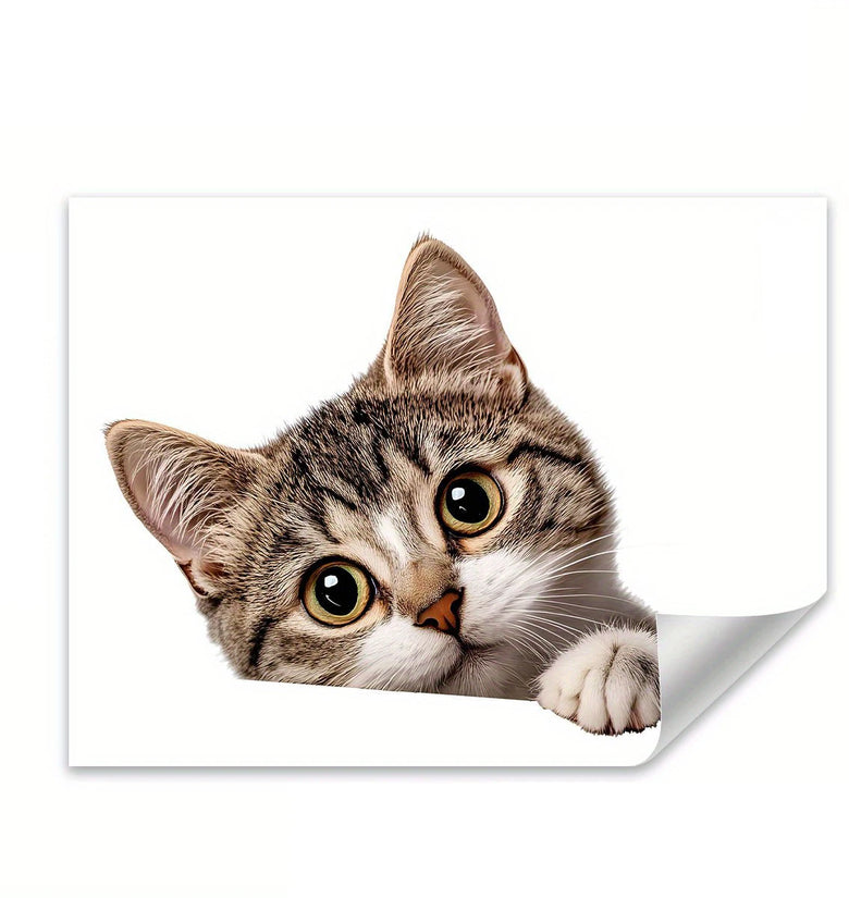 Cat peeking over a white surface with a white border