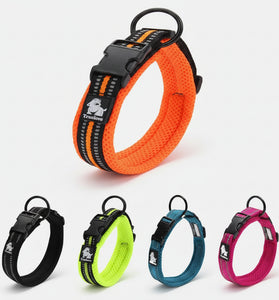 Orange dog collar with black buckle and multiple color options on a white background, featuring the TrueLove brand.