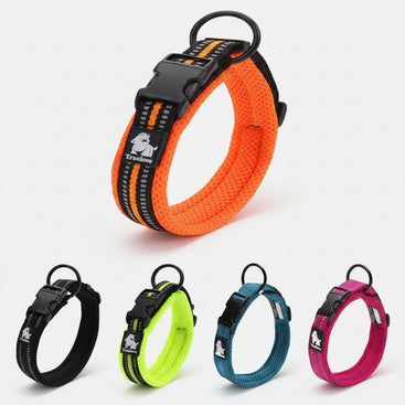 Orange dog collar with black buckle and multiple color options on a white background, featuring the TrueLove brand.