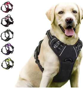 Dog Vest Harness and Leash Set