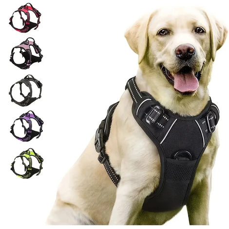 Dog Vest Harness and Leash Set