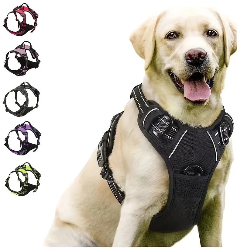 Dog Vest Harness and Leash Set