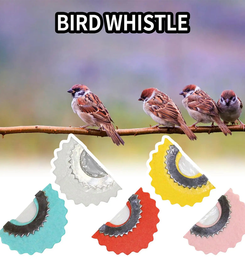 Magic Bird Call Whistle