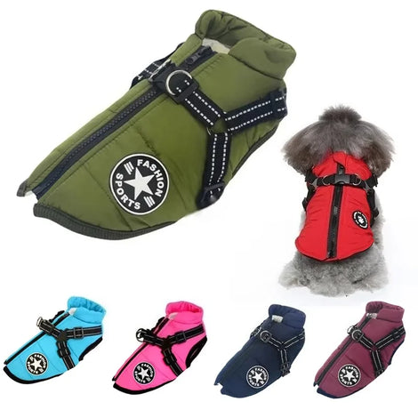 Winter Dog Jacket with Harness