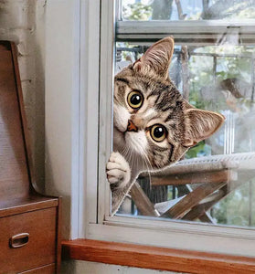Peeking Cat PVC Wall Sticker