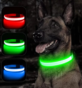 USB Rechargeable LED Pet Collar