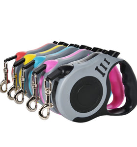 Automatic Retractable Dog Lead for Small Pets