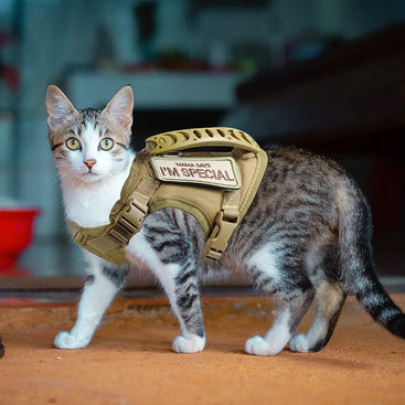 Adjustable Tactical Cat Harness