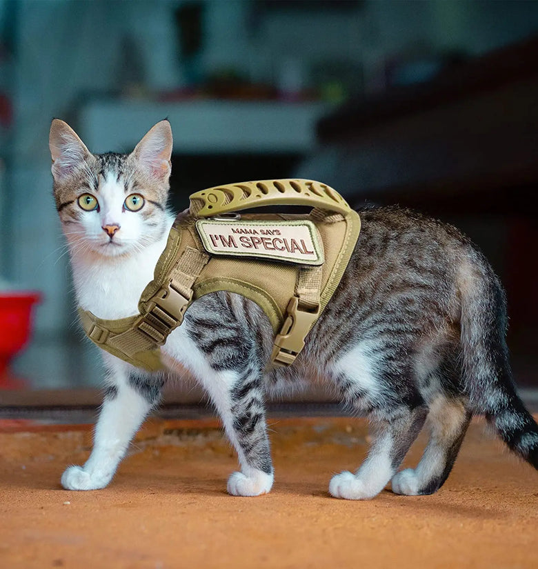 Adjustable Tactical Cat Harness