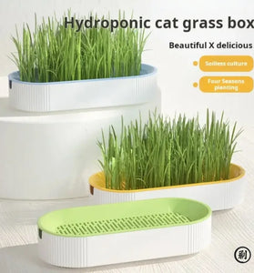Hydroponic Cat Grass Growing Box