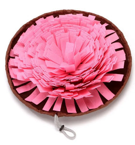 Pink pet toy with brown casing on a white background
