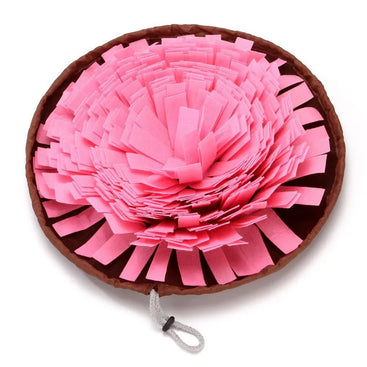 Pink pet toy with brown casing on a white background
