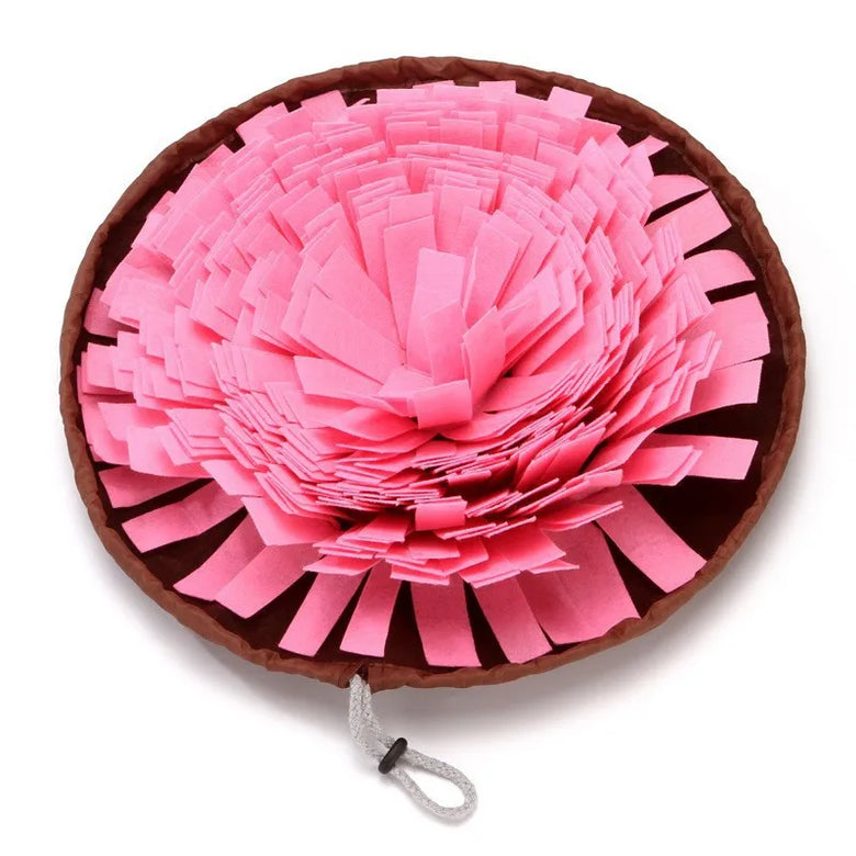 Pink pet toy with brown casing on a white background